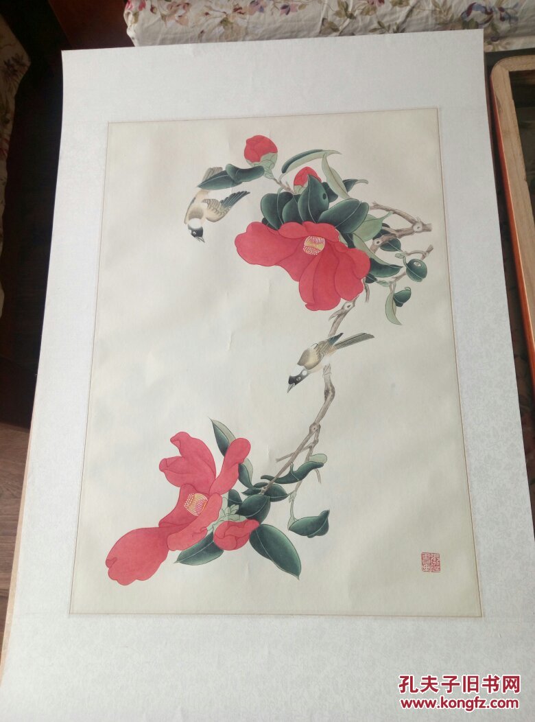 红山茶花工笔画