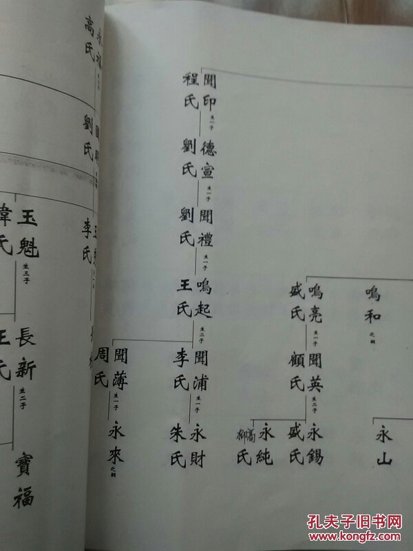 关于家谱中"辈分"和"代数"怎么解释才对?