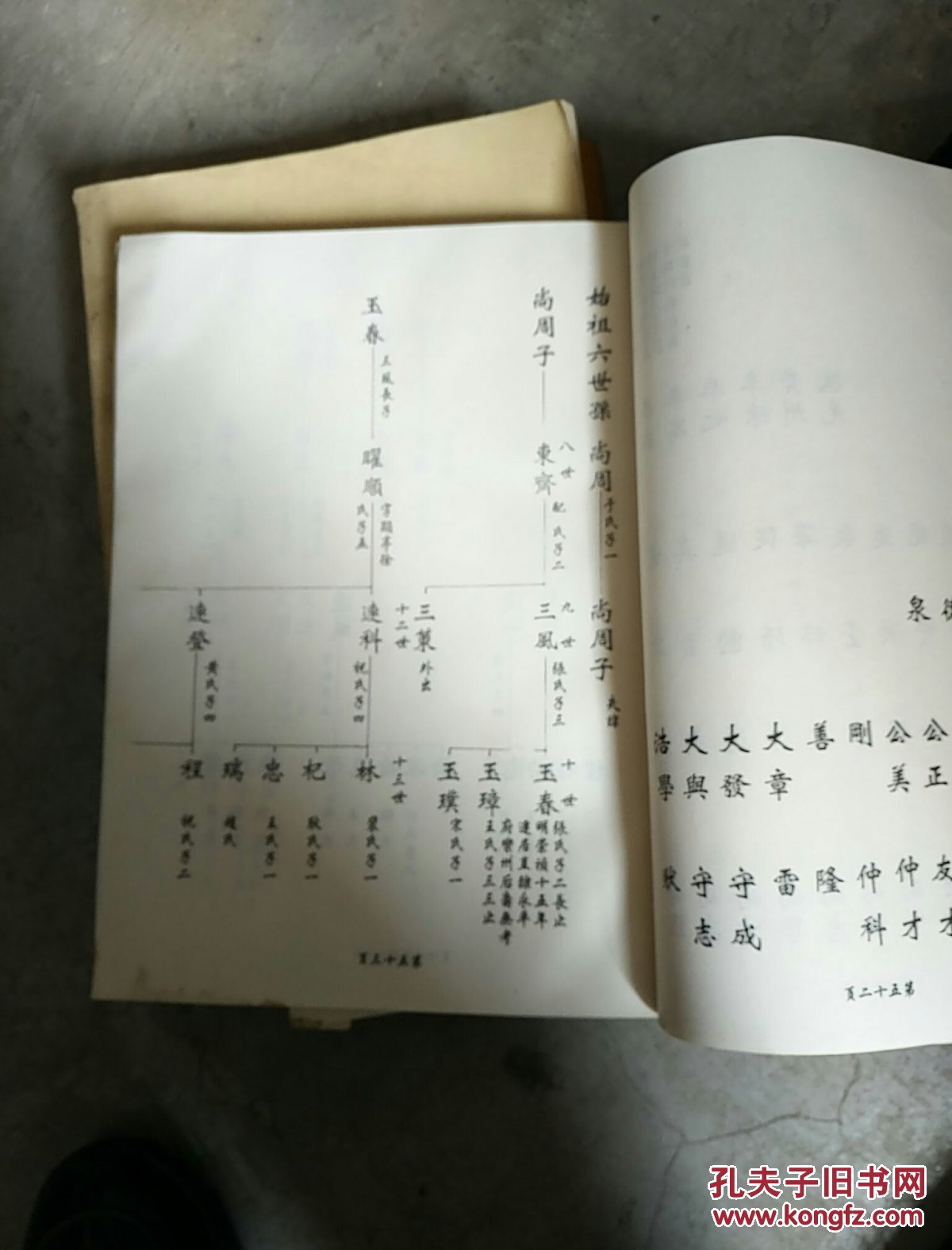 毕氏族谱(孔网首现)昌邑