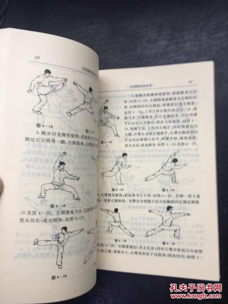 中国梅花桩训练大法