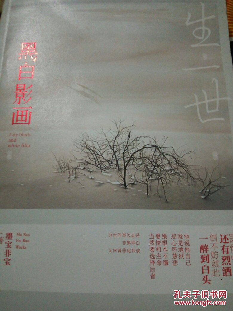 一生一世黑白影画