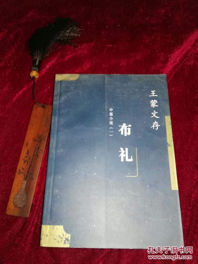 王蒙文存 第九卷 布礼 中篇小说一(包括布礼,蝴蝶,杂色,如歌的行板