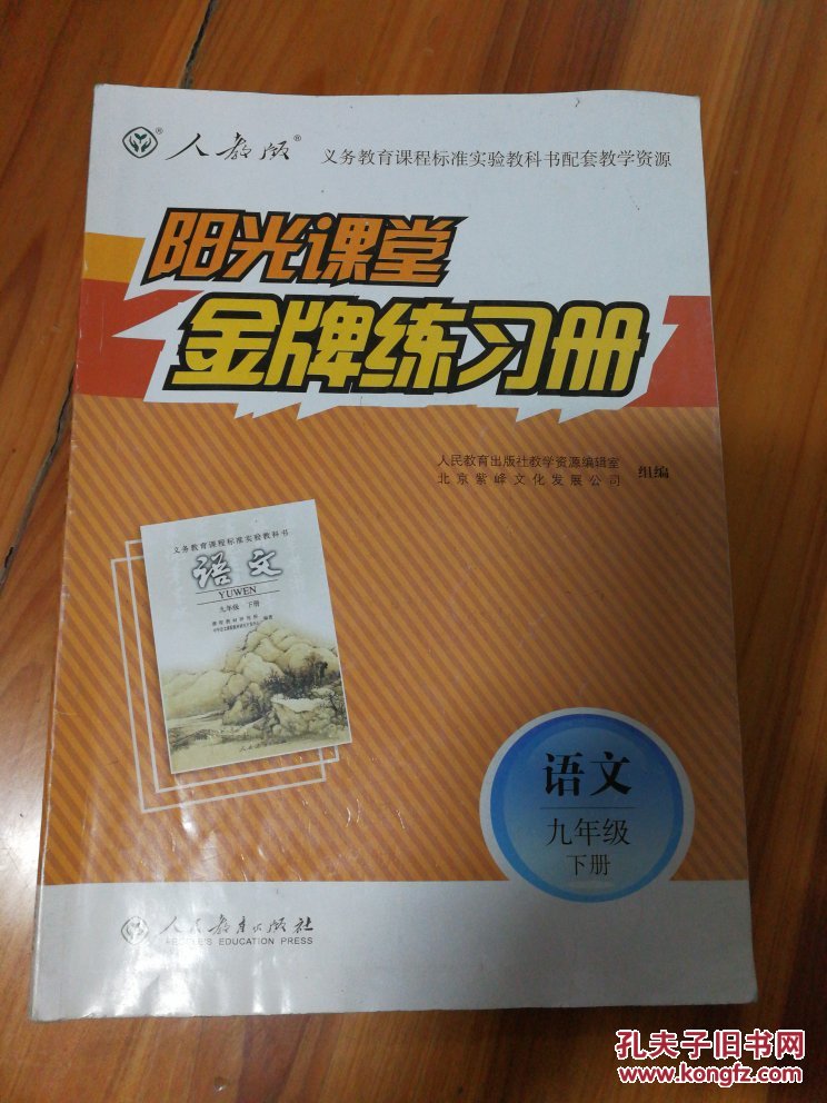 阳光课堂,金牌练习册,语文,九年级下册