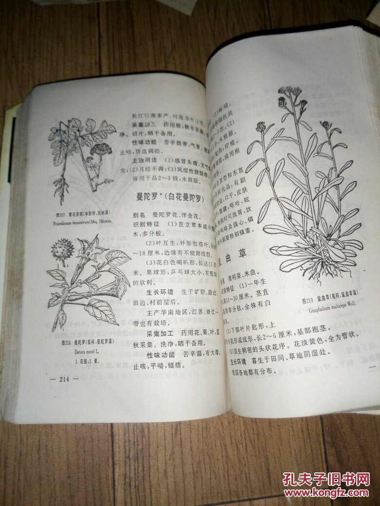常用中草药图解手册