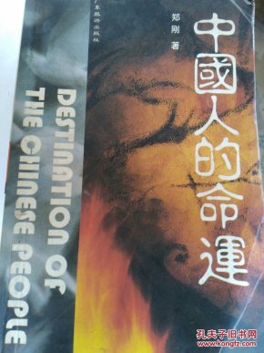 人口及命运_命运高达