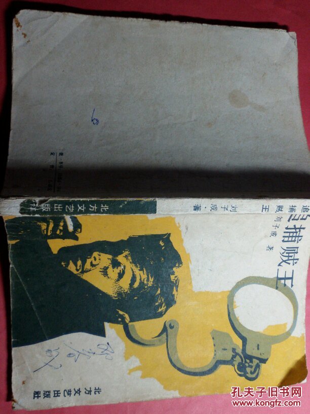追捕贼王