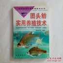 团头鲂实用养殖技术（名特优淡水鱼养殖技术丛书）