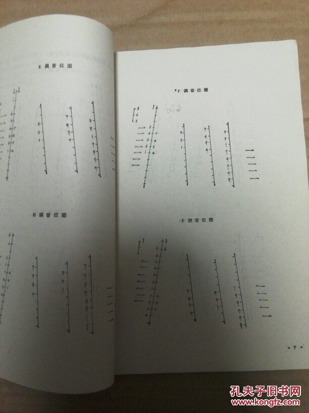 扬琴演奏技法与练习 f411