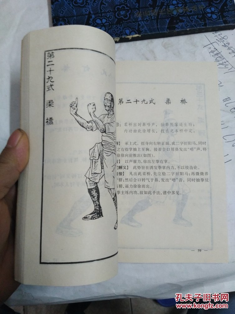 铁桥三真传铁线拳