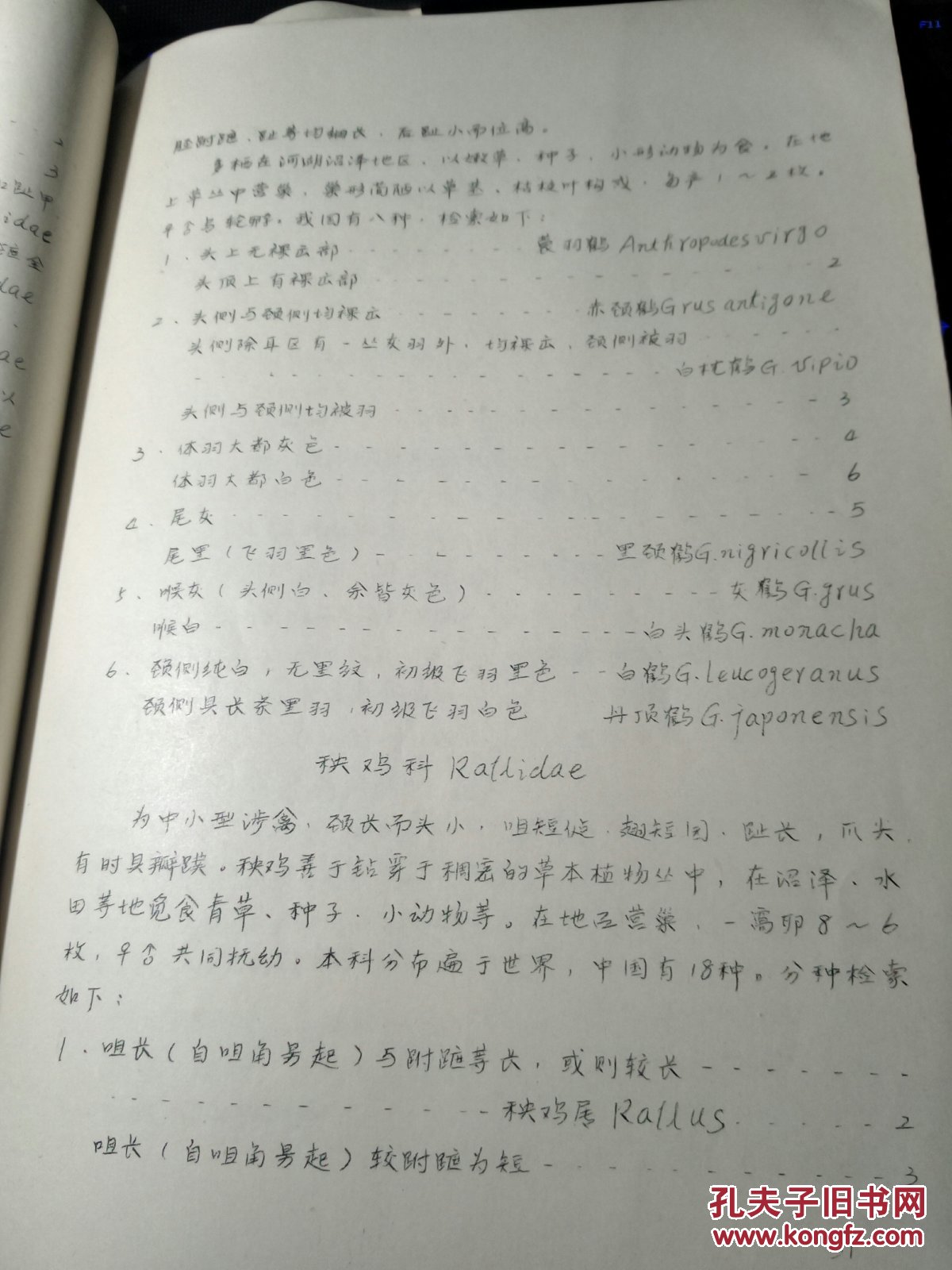 鸟类检索表