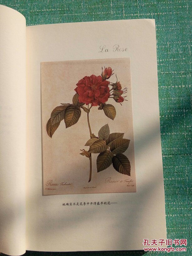 花事(内附精印"花的藏书票"粘贴画24枚)