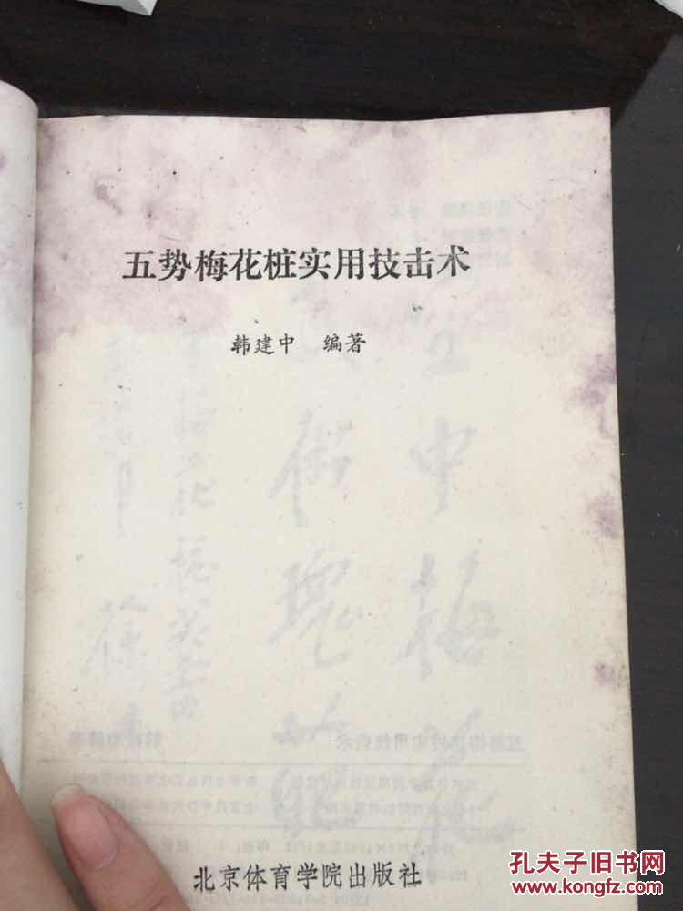 五势梅花桩实用技击术