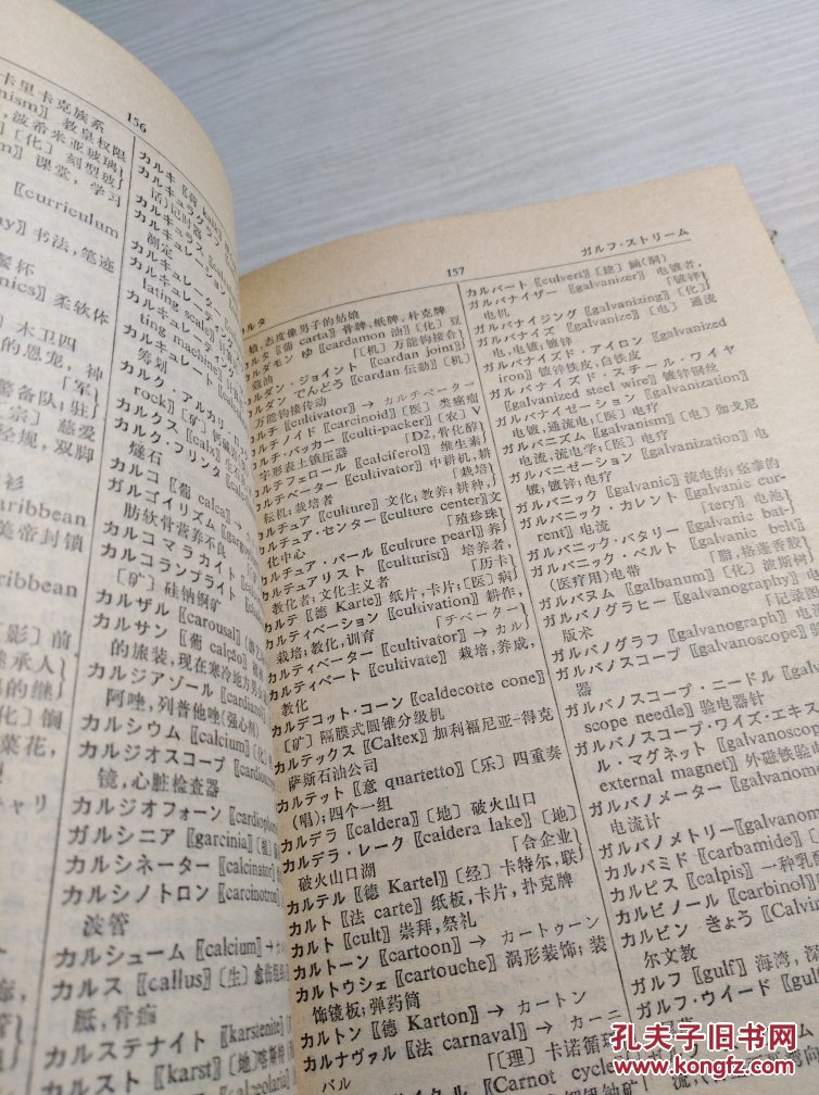 【图】日语外来语新词典_商务印书馆