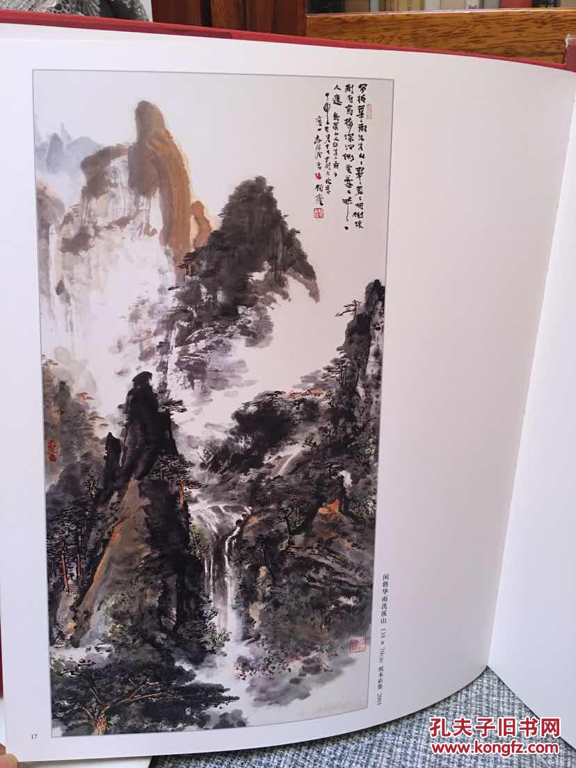 中国画家杨彦 12开精装书函
