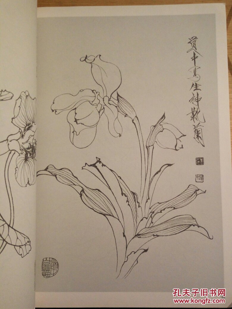 名家线描图谱·王道中画草虫花卉