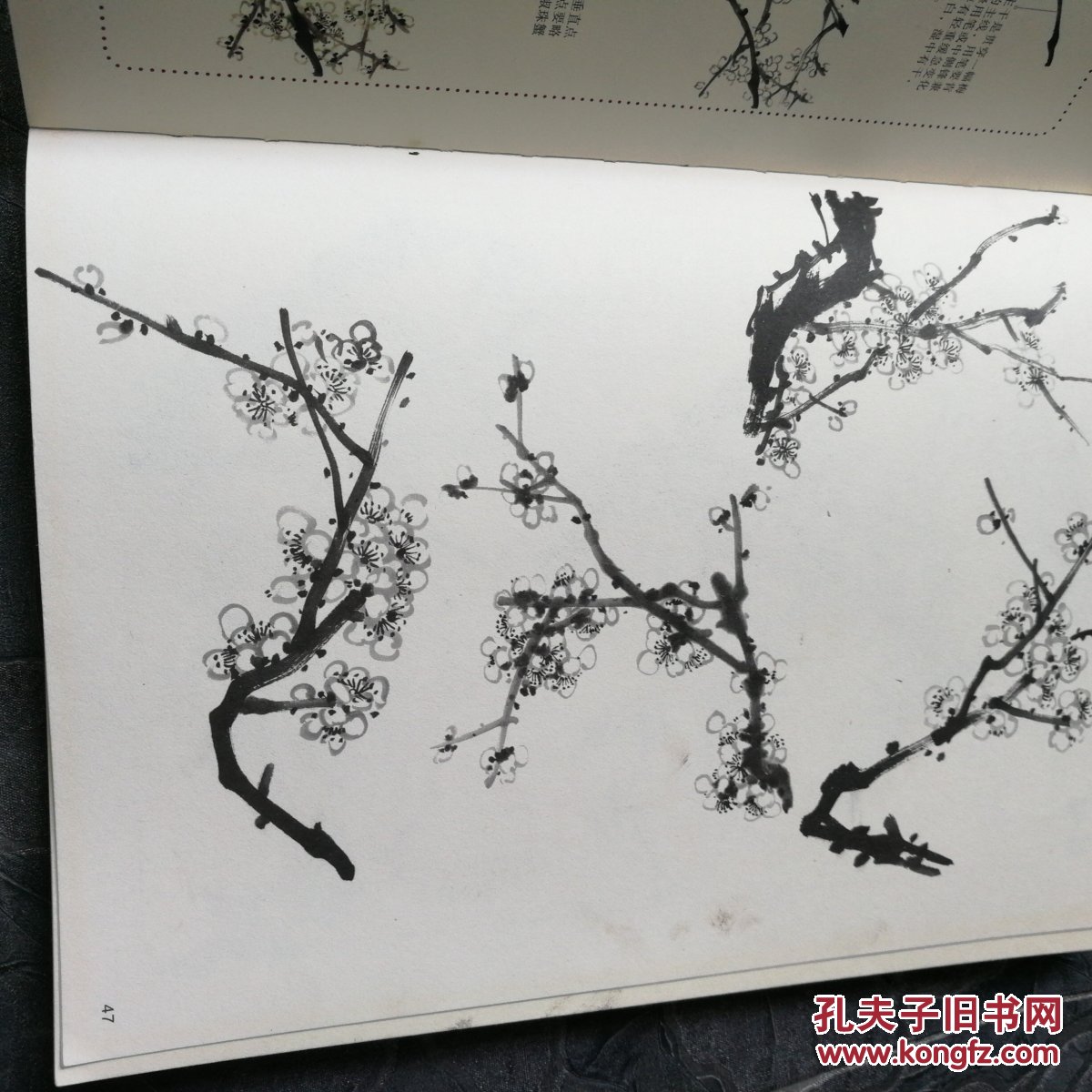 中国画技法入门 梅兰竹菊综合卷