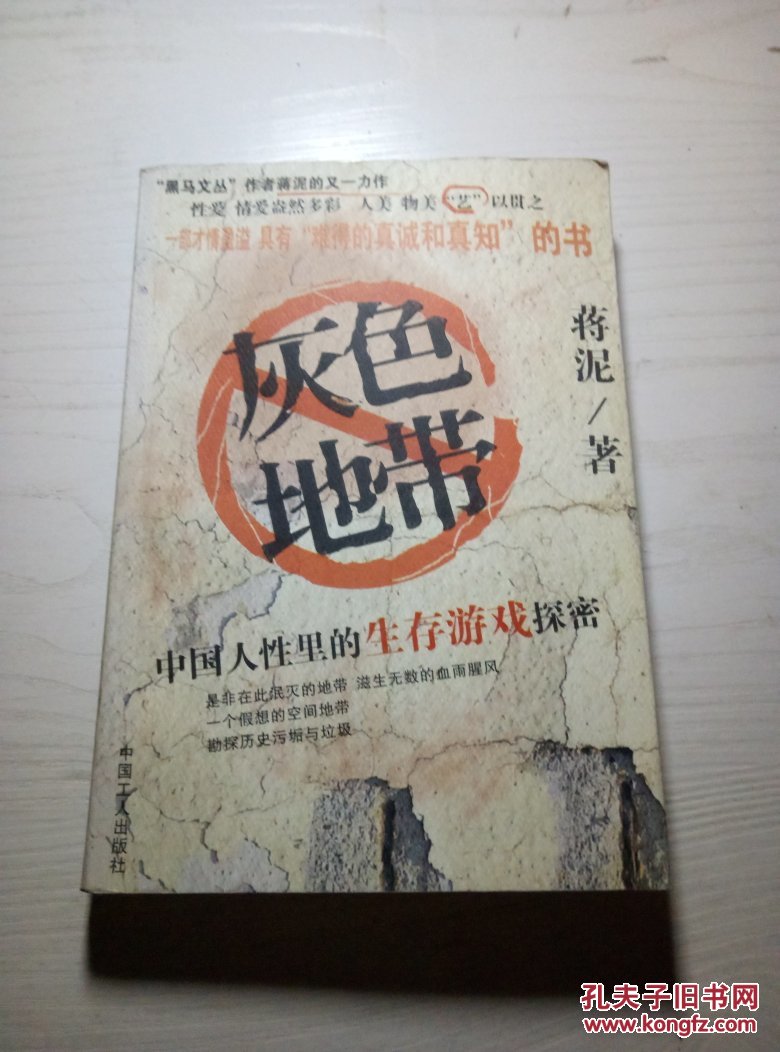 灰色地带 中国人性里的生存游戏探密