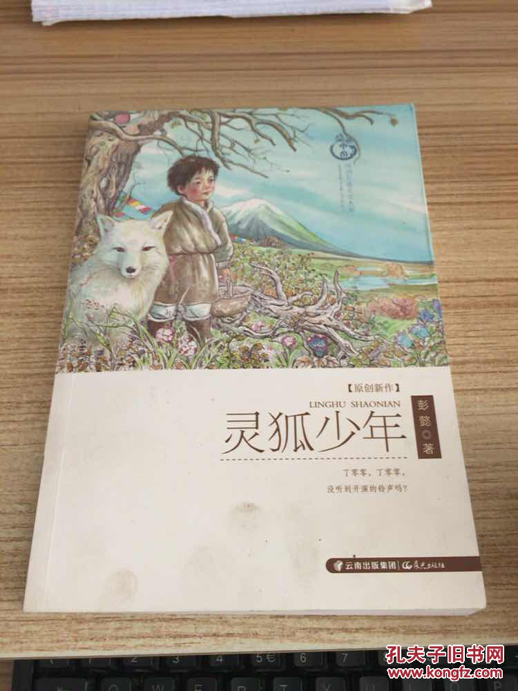 灵狐少年 [10-14岁]