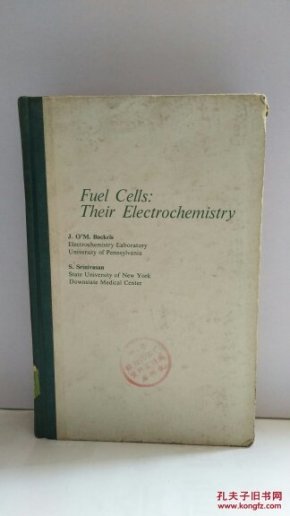 Fuel Cells:Their Electrochemistry 燃料电池电化