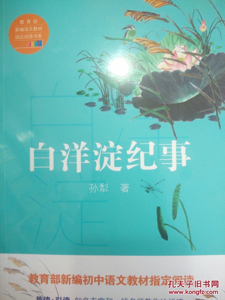 白洋淀纪事