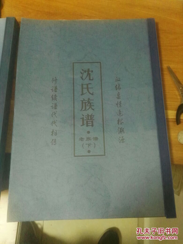 新繁沈氏族谱 【老族谱上下册】【新修】 共三册 合售