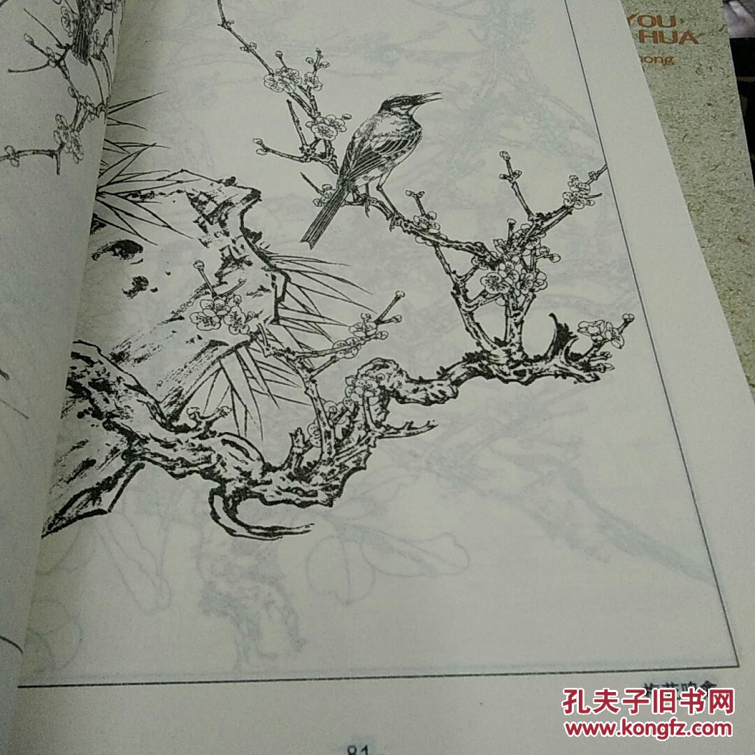 花鸟鱼虫白描速成画谱