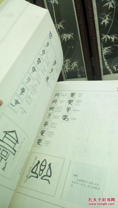 24 (硬精装) 中国红山画院 张景峰绘画与古汉字 王瑛 人民美术出版社