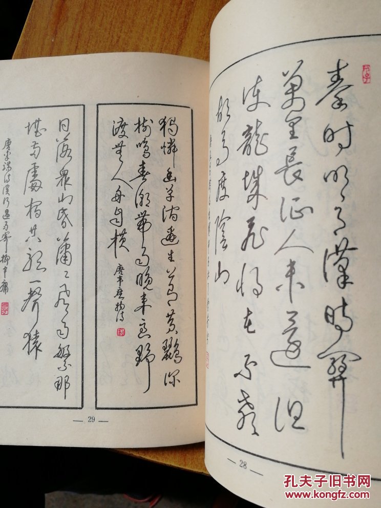 钢笔书法 隋学芳书