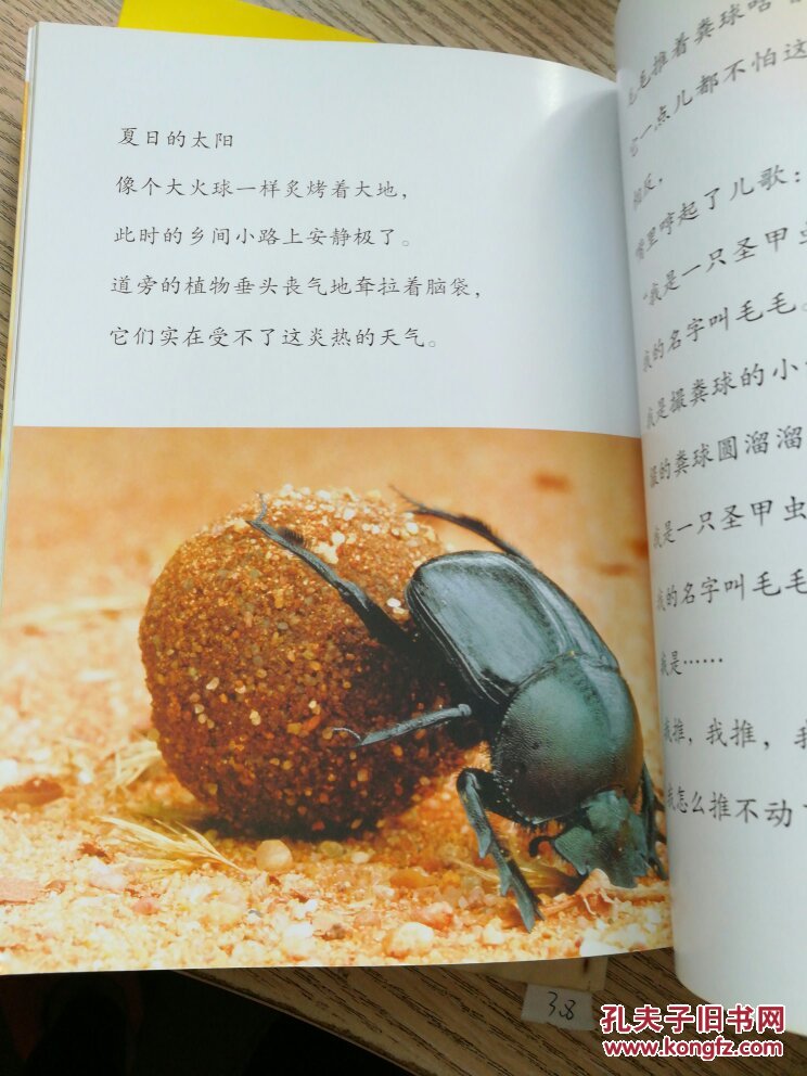 法布尔昆虫记:圣甲虫(儿童版)