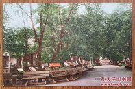 清民哈尔滨“街景公园”老明信片一枚