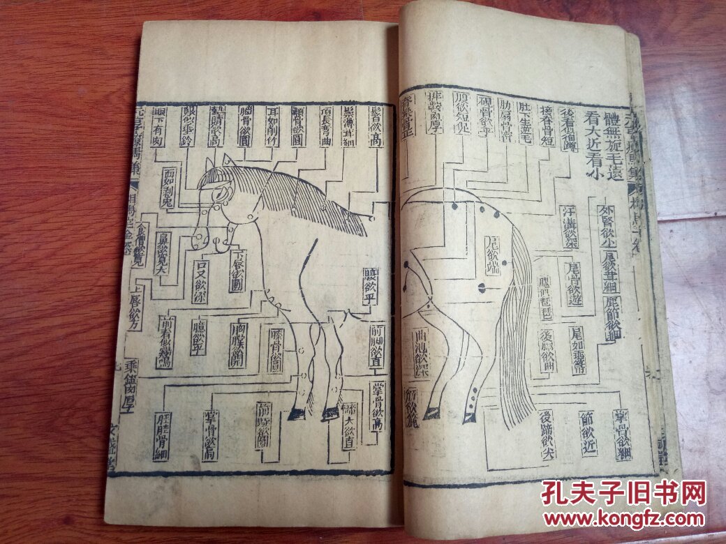 清 同治年间京都文益堂刻本 ----- 《元亨疗马经》 附牛经 驼经 一函