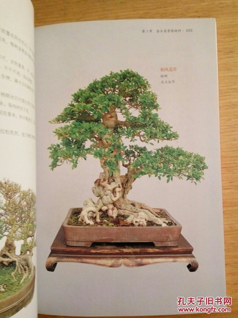杂木盆景制作技法_马文其_孔夫子旧书网