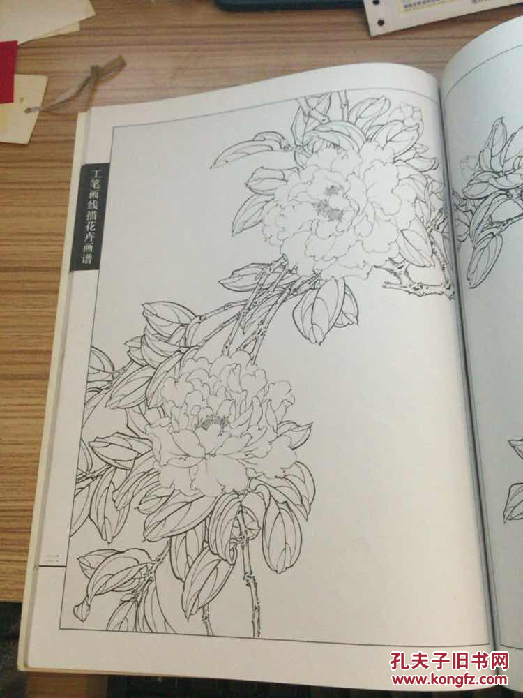 工笔画线描花卉画谱 茶花篇