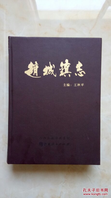 山西省地方志系列丛书-洪洞县系列【赵城镇志】特装仿