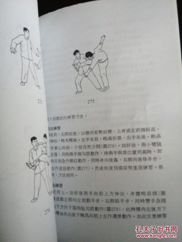 大成拳技击法