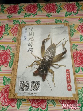 2016中国蟋蟀网108将蟋蟀图谱有虫所有者