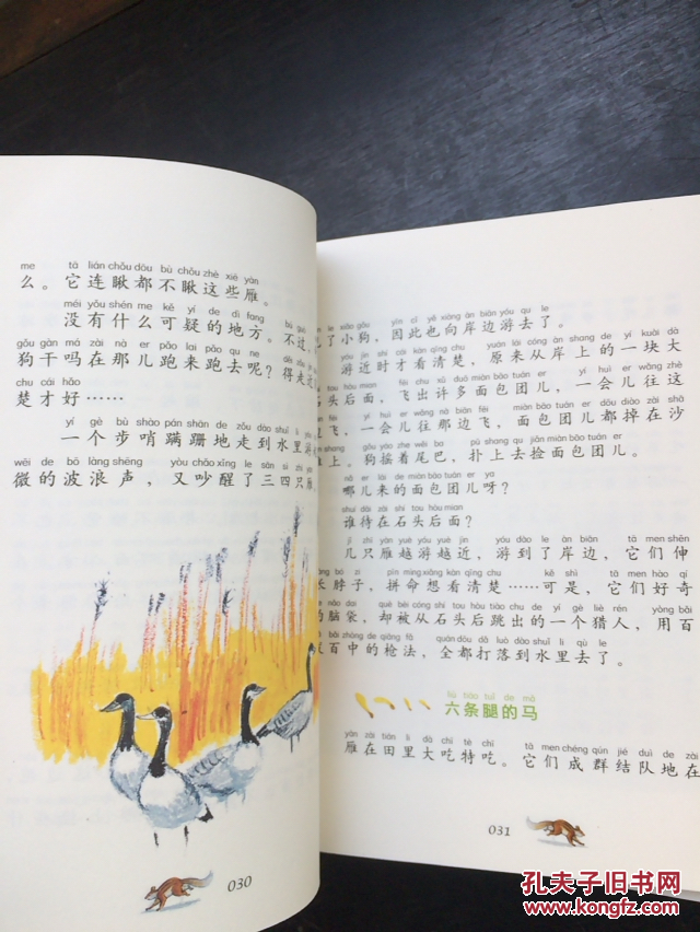 【图】森林报---春夏秋冬【全4本 全四册 】 带