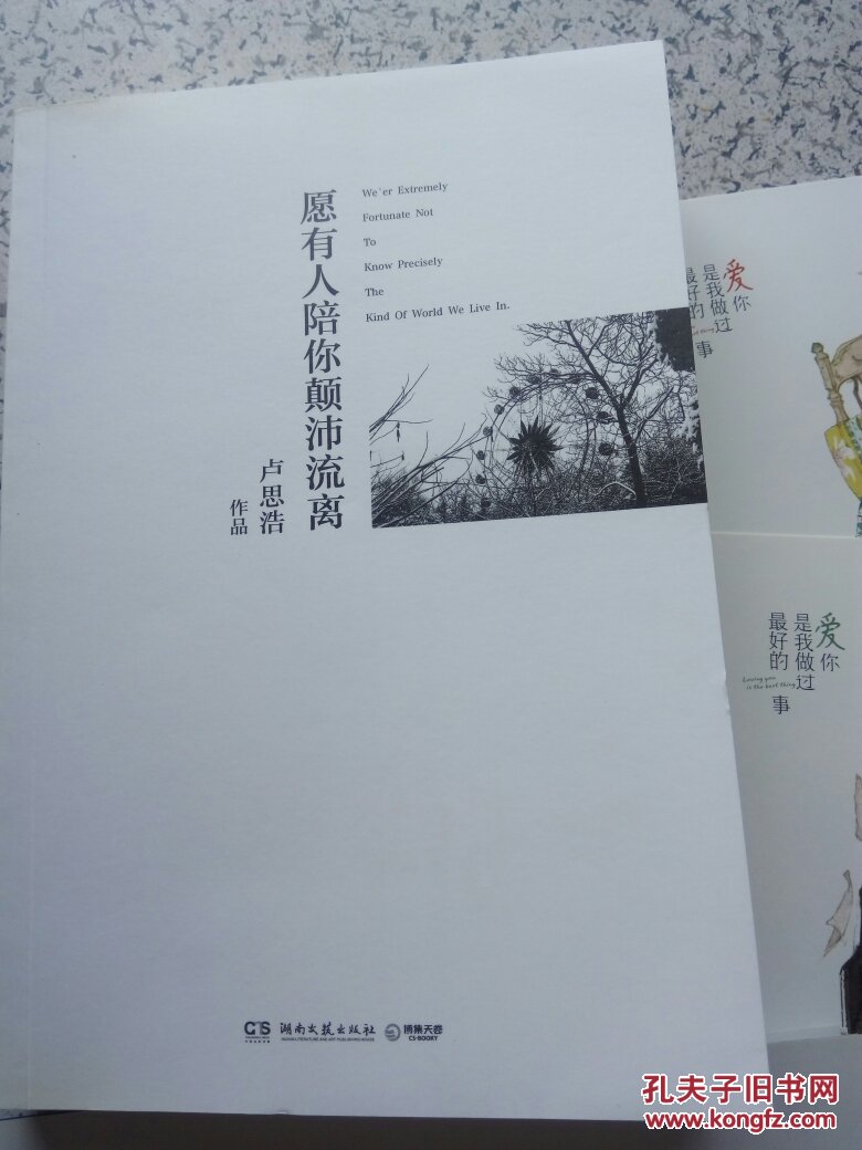 愿有人陪你颠沛流离