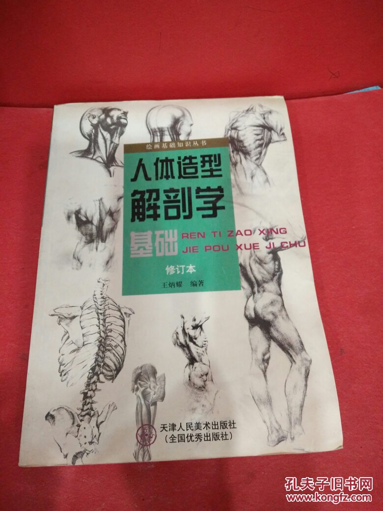 人体造型解剖学基础