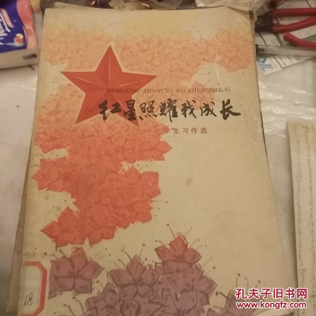 红星照耀我成长
