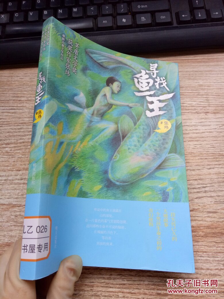寻找鱼王