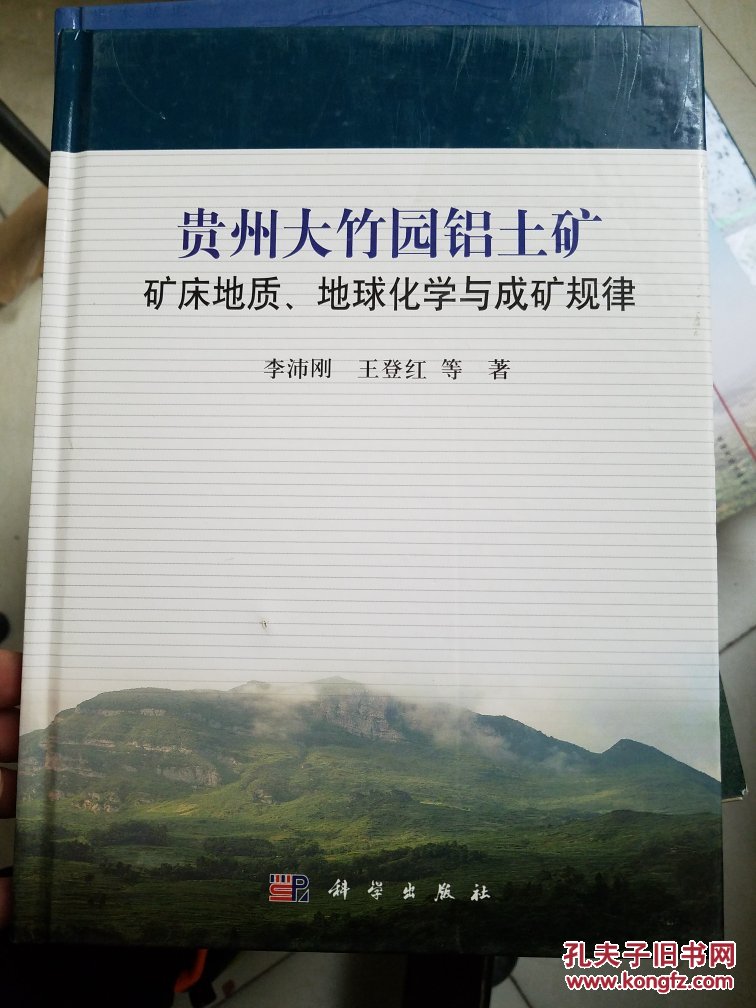 贵州大竹园铝土矿:矿床地质,地球化学与成矿规律 正版现货!