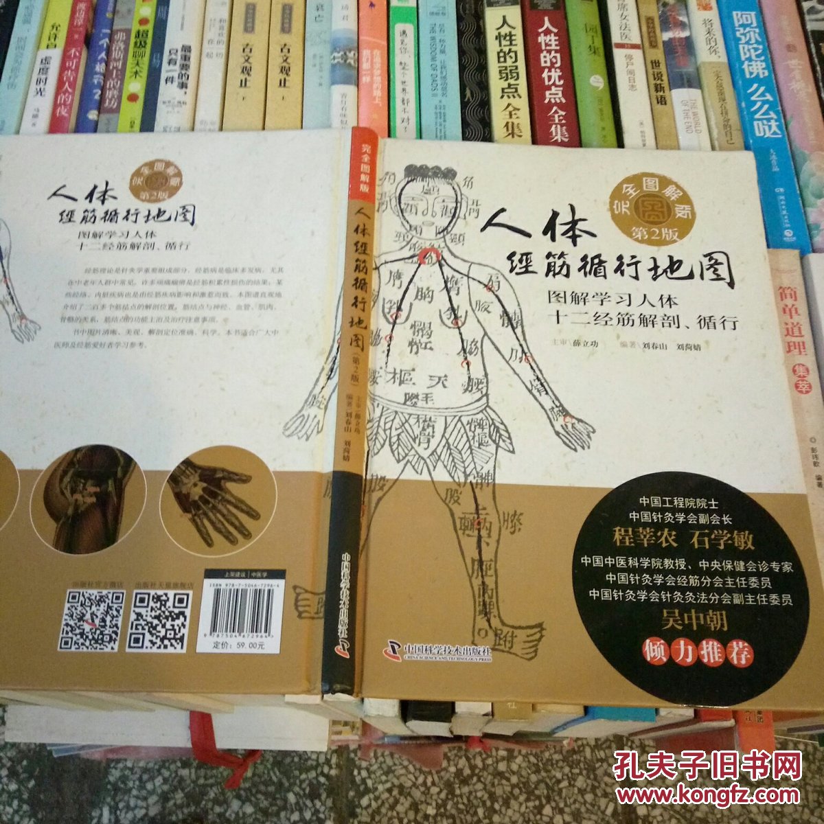 人体经筋循行地图