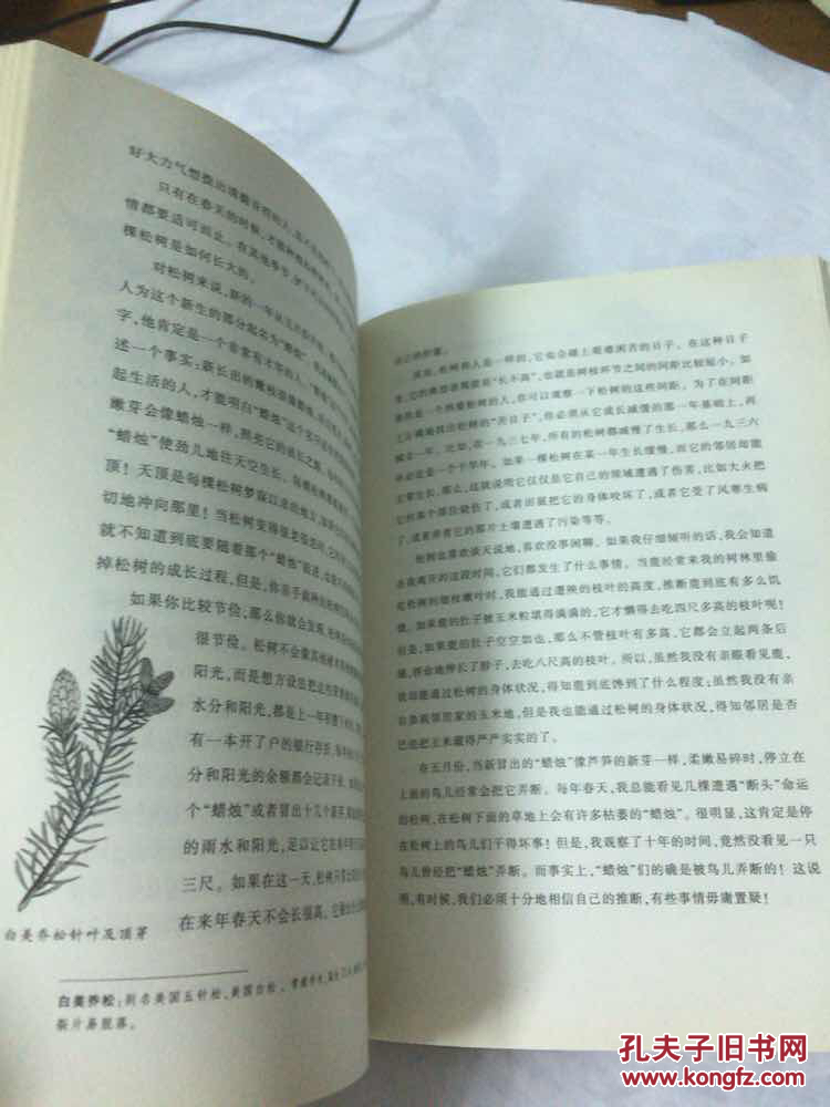 沙乡年鉴