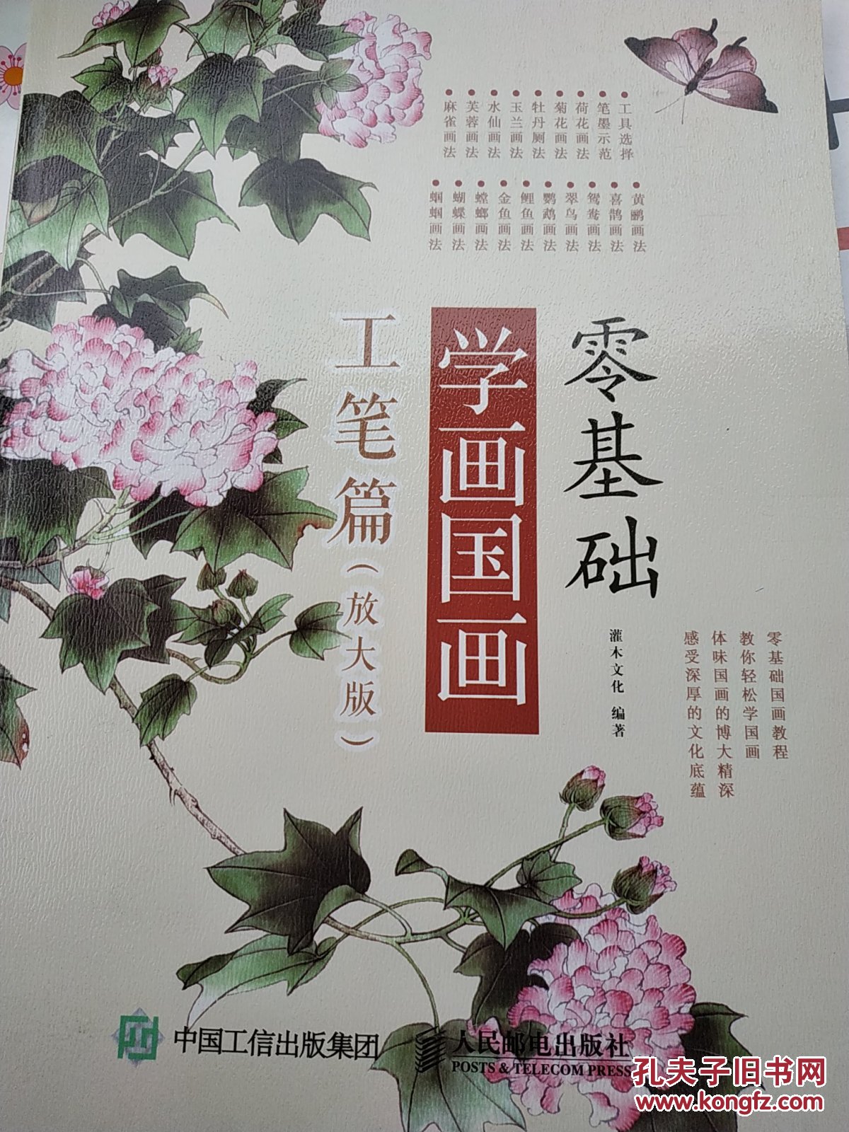 零基础学画国画:工笔篇(放大版)