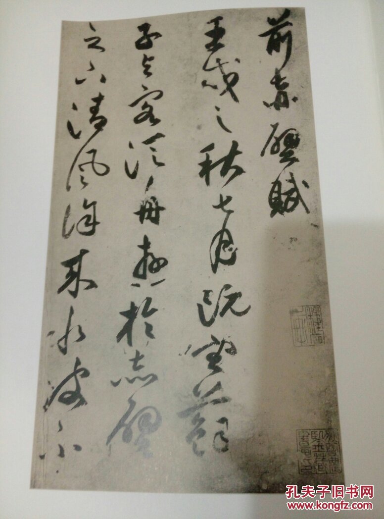 祝允明草书前后赤壁赋