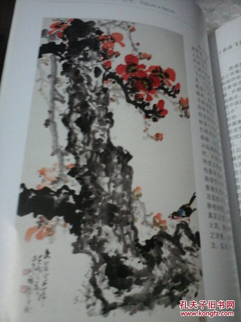 冯曼硕百年纪念画册