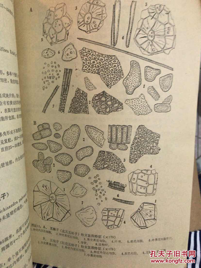 中药粉末显微鉴别手册