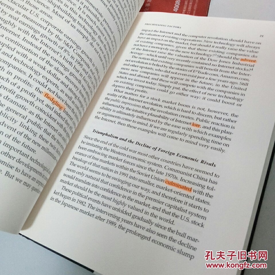 irrational exuberance 非理性繁荣,英文原版 精装