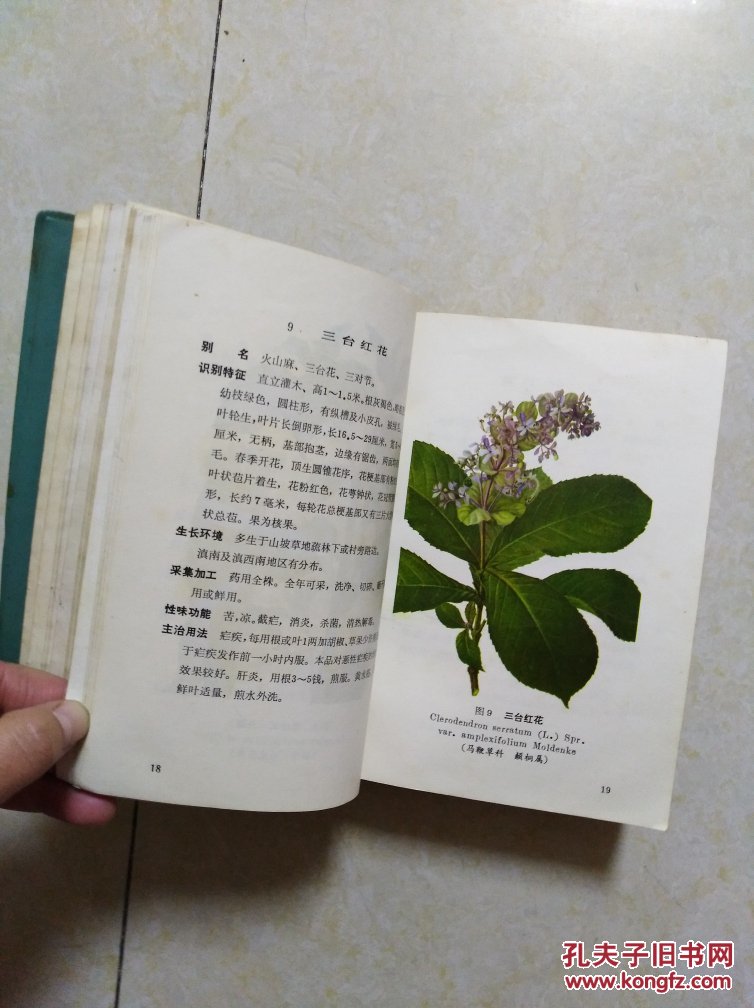 云南中草药选 1970年版 32开软精装